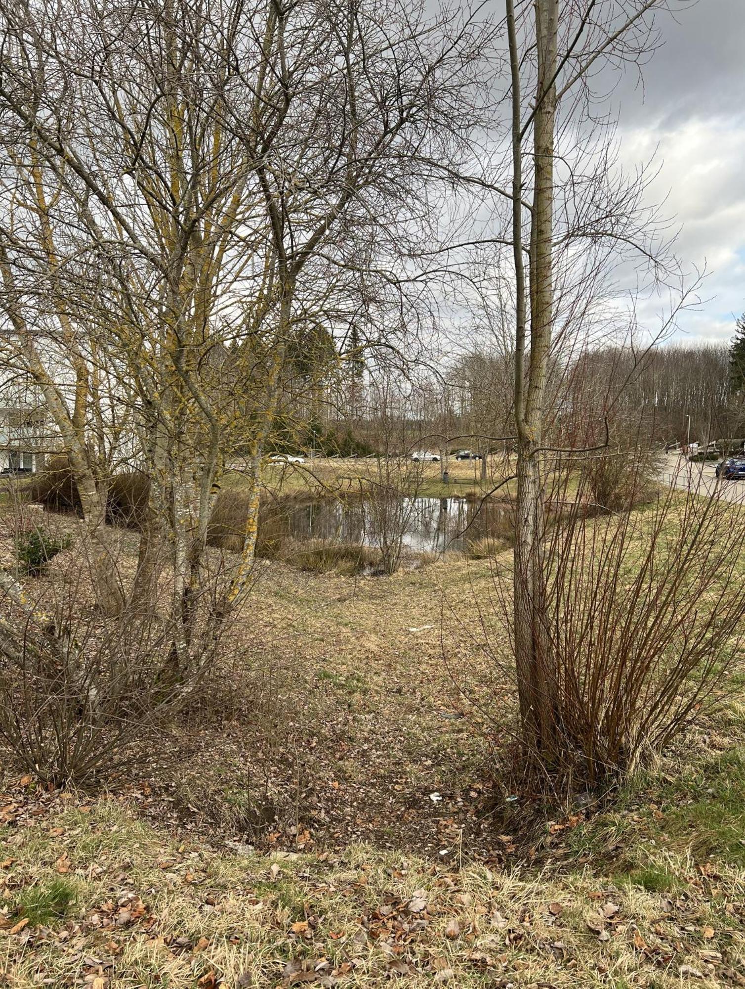 My Home N 35 Villingen-Schwenningen Kültér fotó